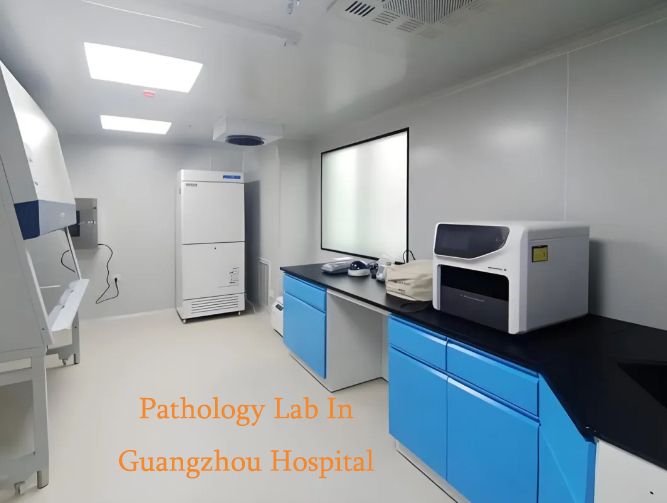 pathology lab